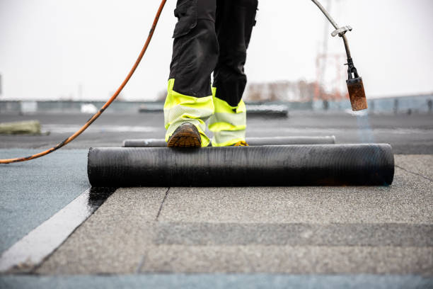 Best Roof Moss and Algae Removal  in Granite Hills, CA