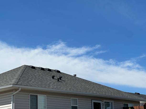 Gutter Replacement in Granite Hills, CA